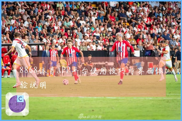 8868体育APP平台使用技巧与界面体验说明